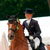 dressage